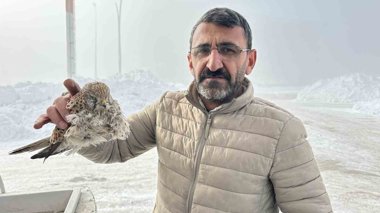 yuksekovada yurek burkan manzara kondugu yerde dondu 0 aGLpnaHK
