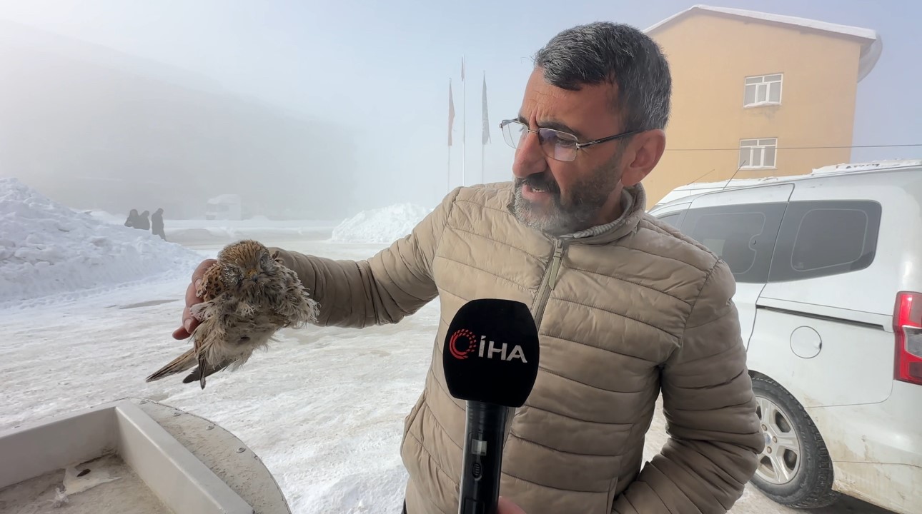 yuksekovada yurek burkan manzara kondugu yerde dondu 5