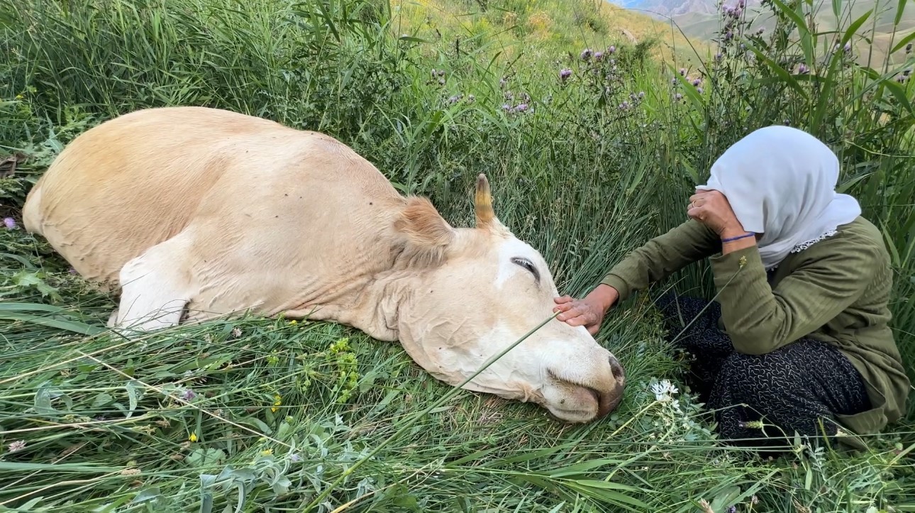 Yüksekova’da yürek yakan görüntü: Uçurumdan düşerek telef olan ineğine sarılıp saatlerce ağladı 7 yuksekovada yurek yakan goruntu ucurumdan duserek telef olan inegine sarilip saatlerce agladi 3 LjF52PsN