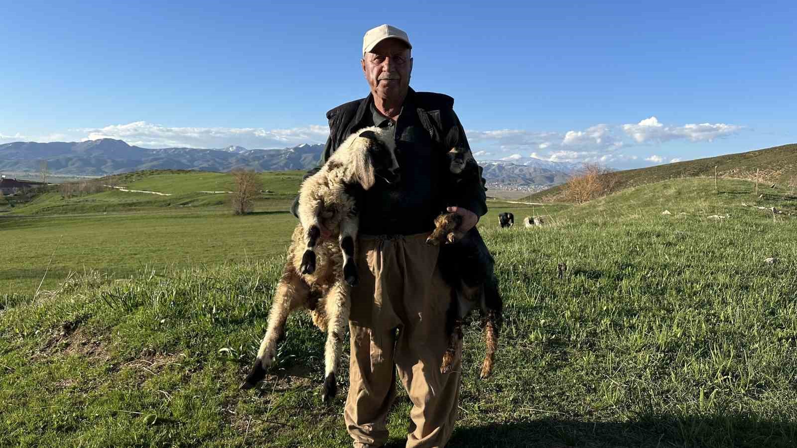 Yüksekovalı çiftçiden vefa örneği: Engelli hayvanları bebek şefkatiyle büyütüyor 12 yuksekovali ciftciden vefa ornegi engelli hayvanlari bebek sefkatiyle buyutuyor 8 aKCqSYNv
