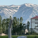 yuksekovanin-zebra-gorunumlu-karli-daglari-ilgi-goruyor-Cj4jbBZz.jpg
