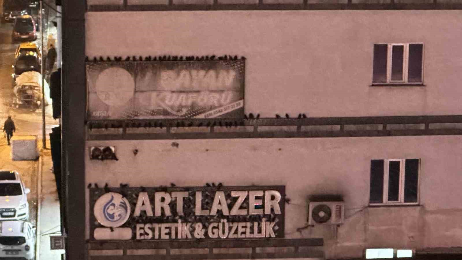 yuksekovaya sigircik akini 1 JClJOcbS