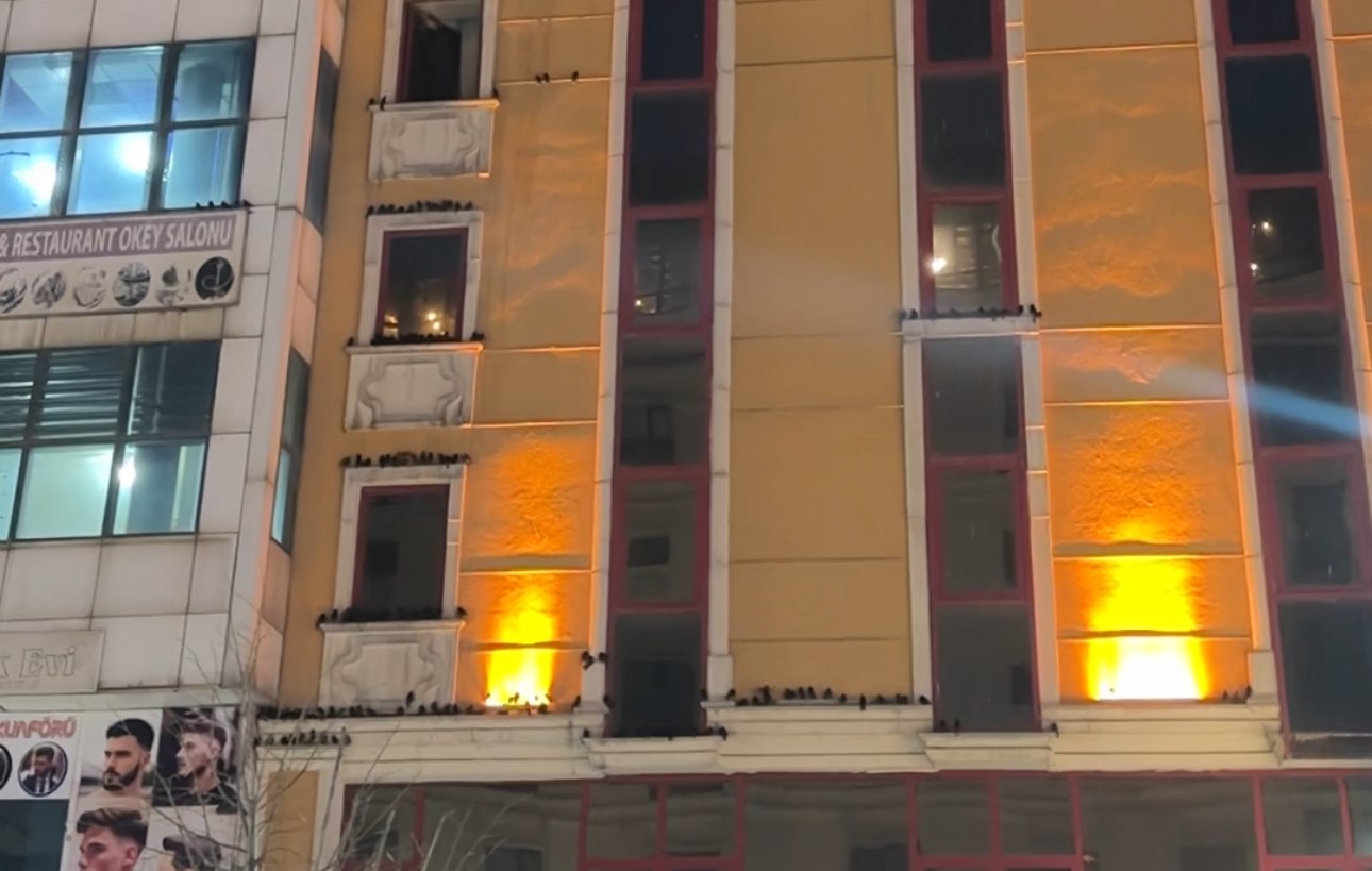yuksekovaya sigircik akini 3 GYOAfBfY