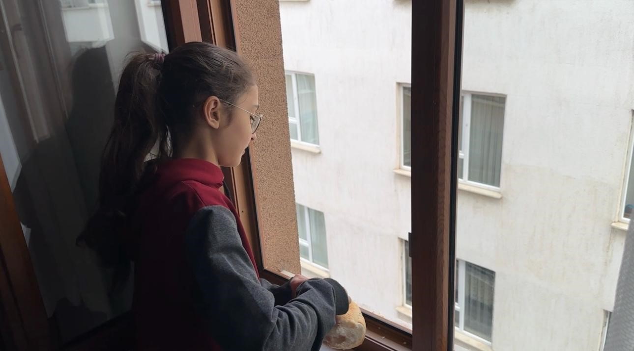 yurekleri isitan davranis minik ogrenciden kuslara ekmek 1 2SPiuria