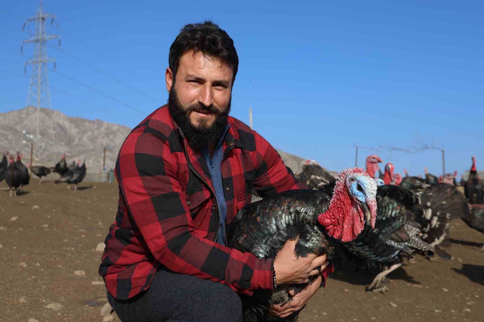 yurtdisindan donup memleketine ciftlik kurdu 0 4Y9F1tPY