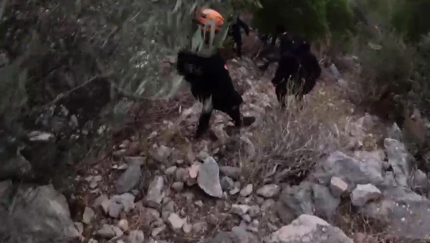 yuruyuse ciktiklari dagda mahsur kaldilar yardimlarina jak ve afad ekibi yetisti 7