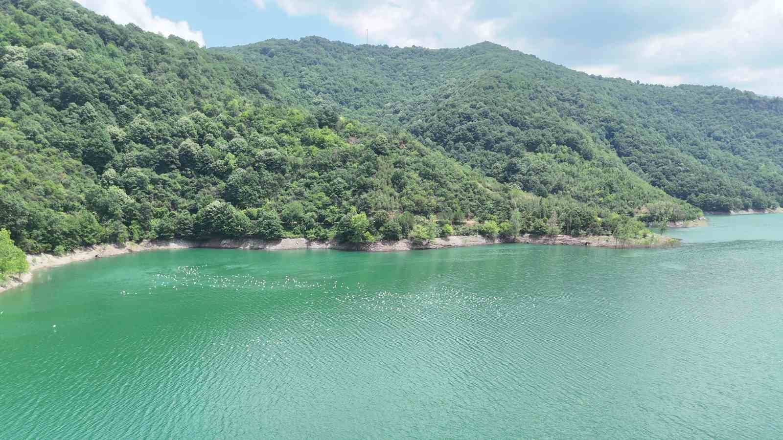 Yuvacık Barajı’ndaki su miktarı son yılların aynı dönemini geride bıraktı 6 yuvacik barajindaki su miktari son yillarin ayni donemini geride birakti 2 3jhJlyvl