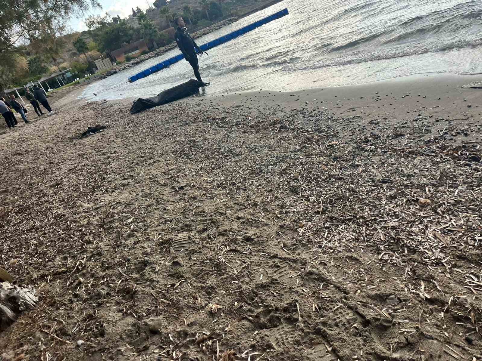 yuzerek karaya cikan 2 duzensiz gocmen kurtarildi 2 uAQSvdYg