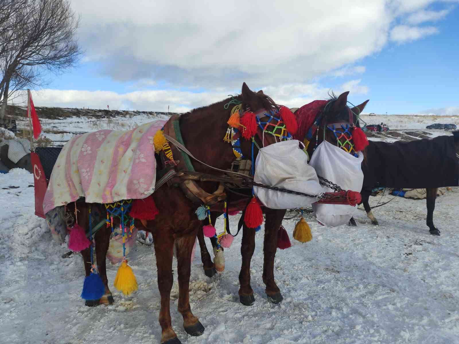 yuzeyi buz tutan cildir golu misafirlerini agirlamaya basladi 8