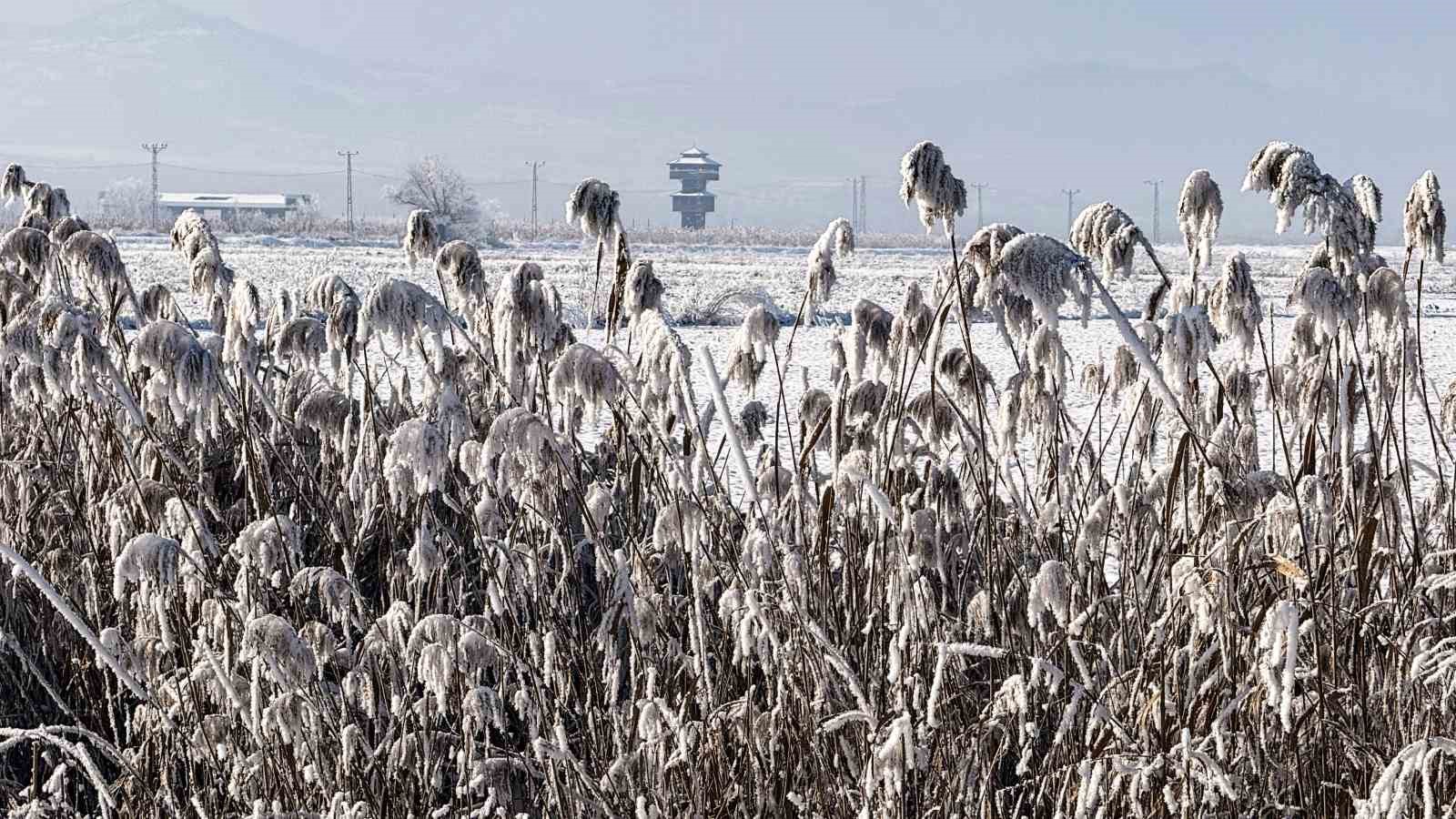 yuzeyi buz tutan kaz golu kis manzarasi ile mest etti 0 326jzTFP