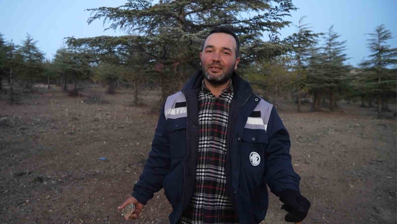 Yüzlerce ağacın kesilmesine vatandaşlardan tepki: "40 yılda büyüdü, 4 gün de yok edildi" 6 yuzlerce agacin kesilmesine vatandaslardan tepki 40 yilda buyudu 4 gun de yok edildi 2 ygnGpeK6