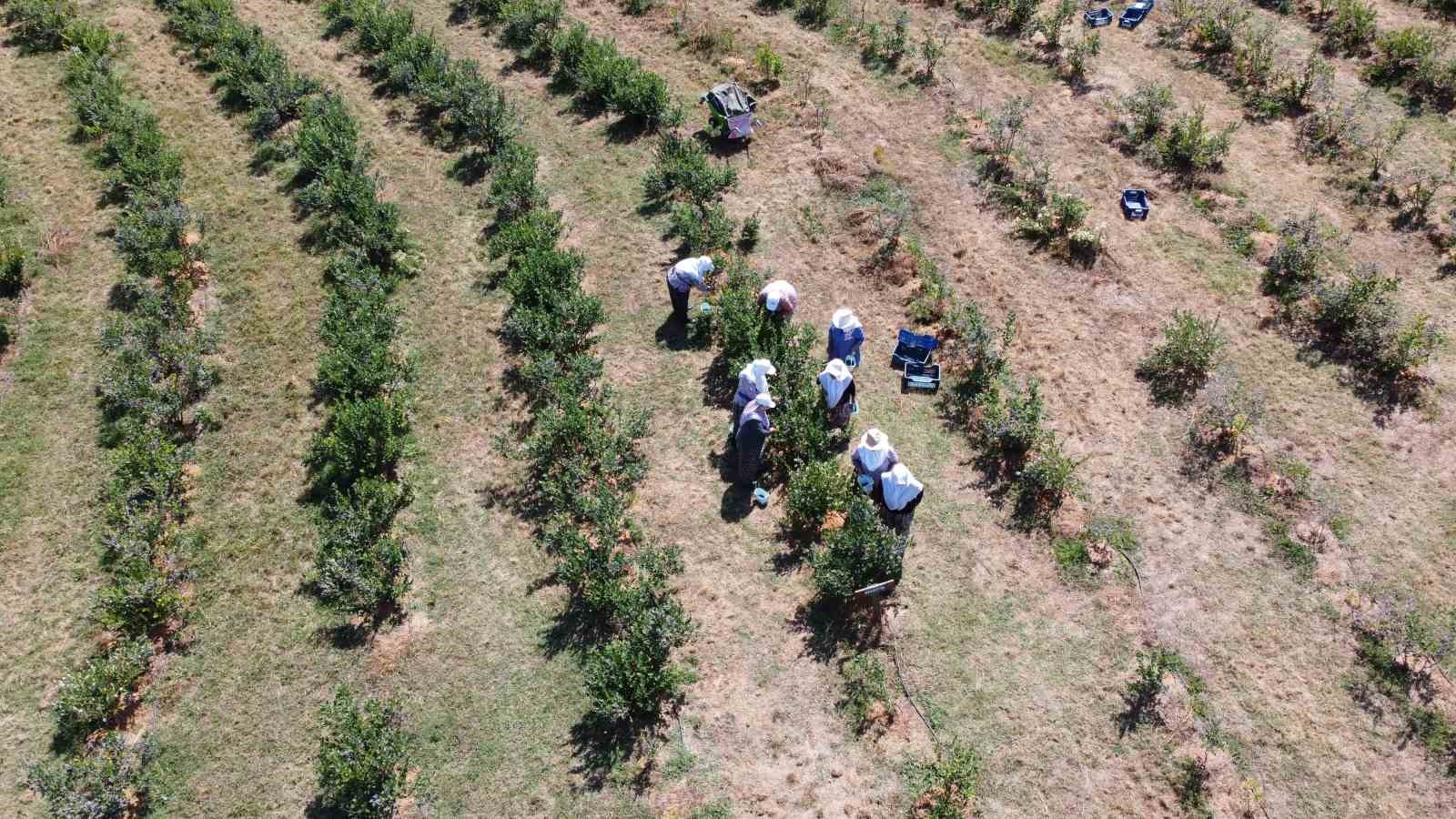Yüzlerce ton üretim yapan çiftçi soğuk hava deposu istiyor 6 yuzlerce ton uretim yapan ciftci soguk hava deposu istiyor 2 mrVgu1ct