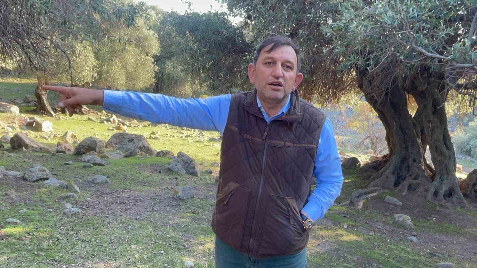 yuzlerce yildir ispanya ve italyadan sonra sadece gokceadada yetisiyor 1 34UXCmDt