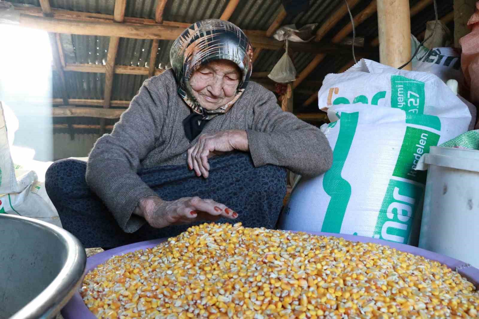 yuzyillik lezzet gavut sofralarda yerini koruyor 5 AarM8zLY