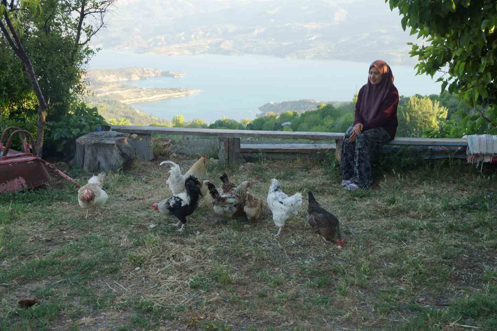 Zehra’nın hayvan sevgisi sosyal medyada ilgi odağı oldu 6 zehranin hayvan sevgisi sosyal medyada ilgi odagi oldu 2