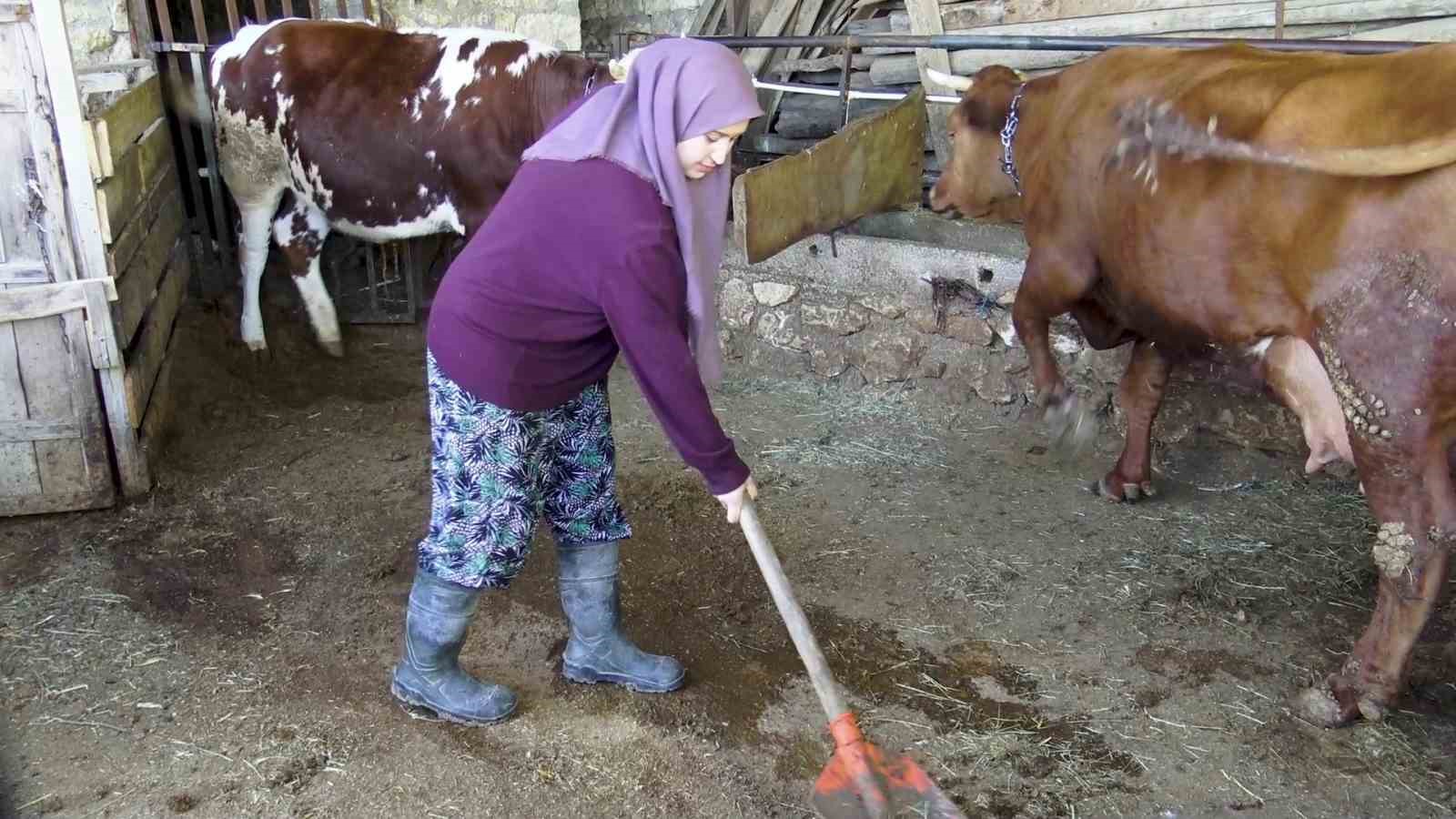 Zehra’nın hayvan sevgisi sosyal medyada ilgi odağı oldu 7 zehranin hayvan sevgisi sosyal medyada ilgi odagi oldu 3