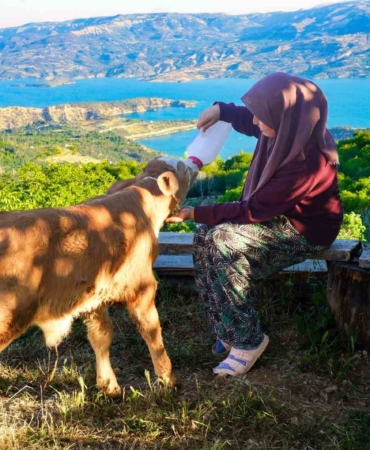 zehranin-hayvan-sevgisi-sosyal-medyada-ilgi-odagi-oldu-QisWOK3k.jpg