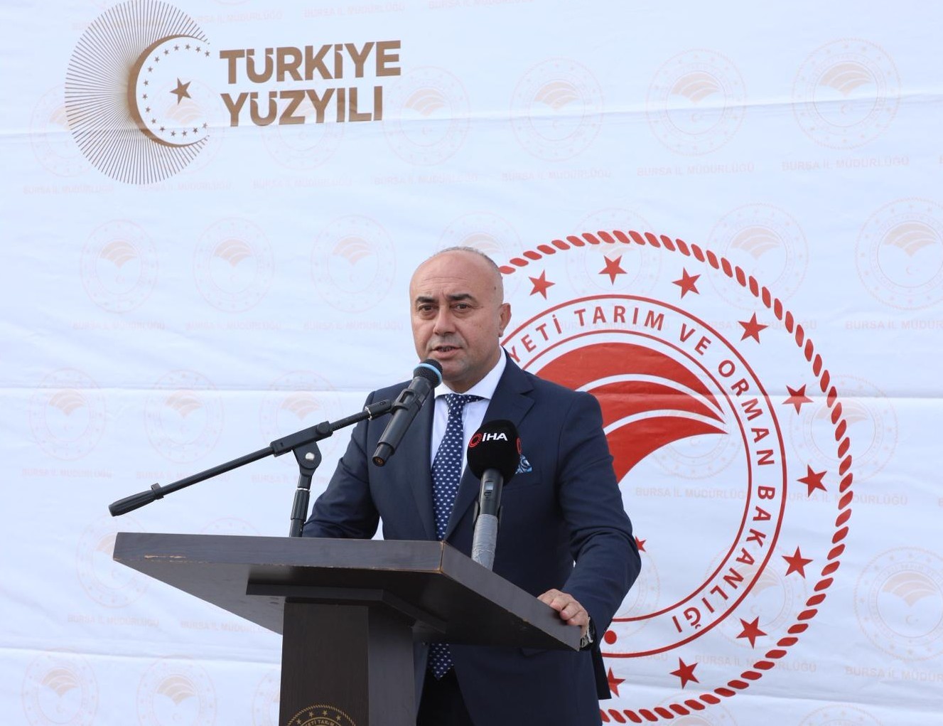zeytin hasadi basladi marmarabirlikten 70 bin tonluk alim ve 50 milyon dolarlik ihracat hedefi 2IiXajuR