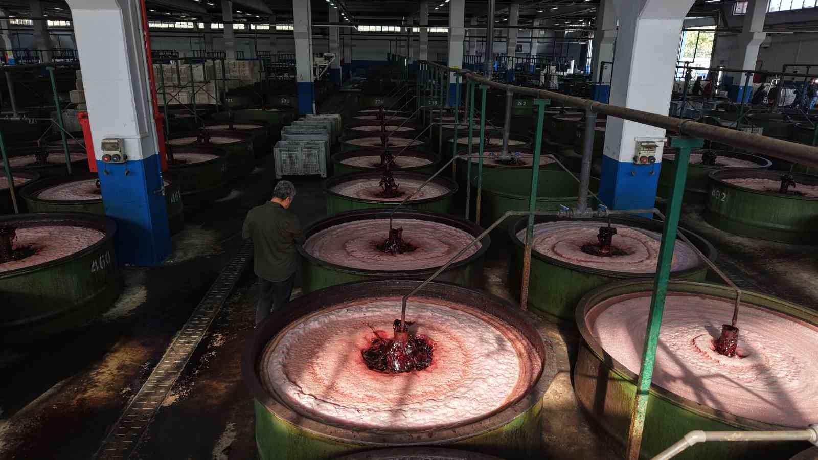 zeytin hasadi basladi marmarabirlikten 70 bin tonluk alim ve 50 milyon dolarlik ihracat hedefi ByrsrVHL
