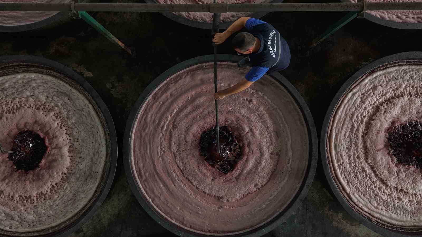zeytin hasadi basladi marmarabirlikten 70 bin tonluk alim ve 50 milyon dolarlik ihracat hedefi