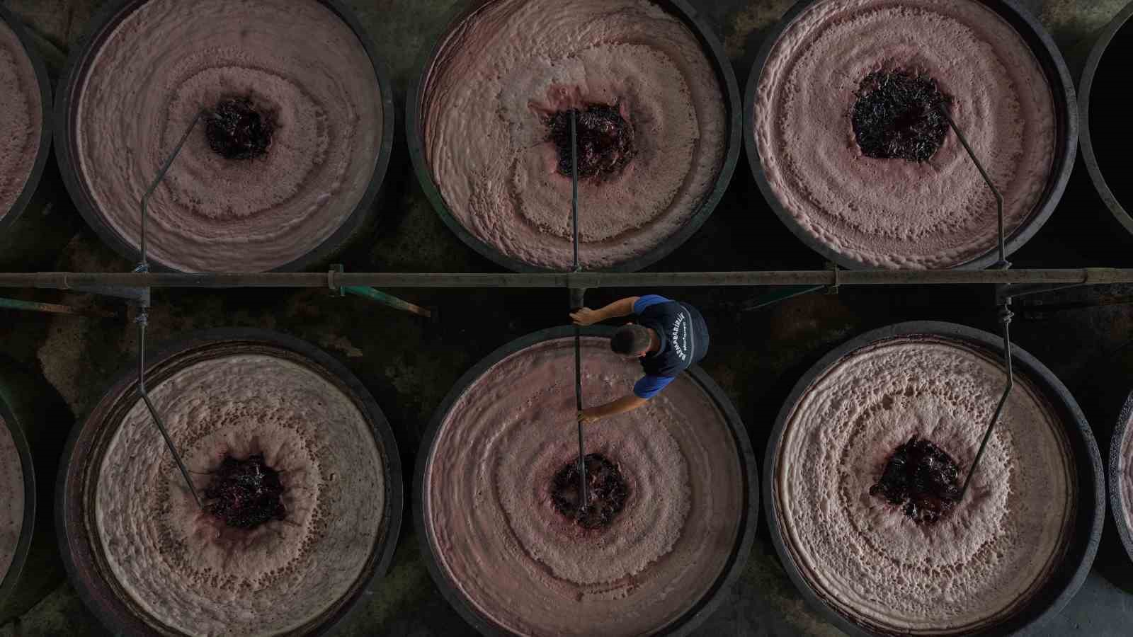 zeytin hasadi basladi marmarabirlikten 70 bin tonluk alim ve 50 milyon dolarlik ihracat hedefi G4Mc8iPe