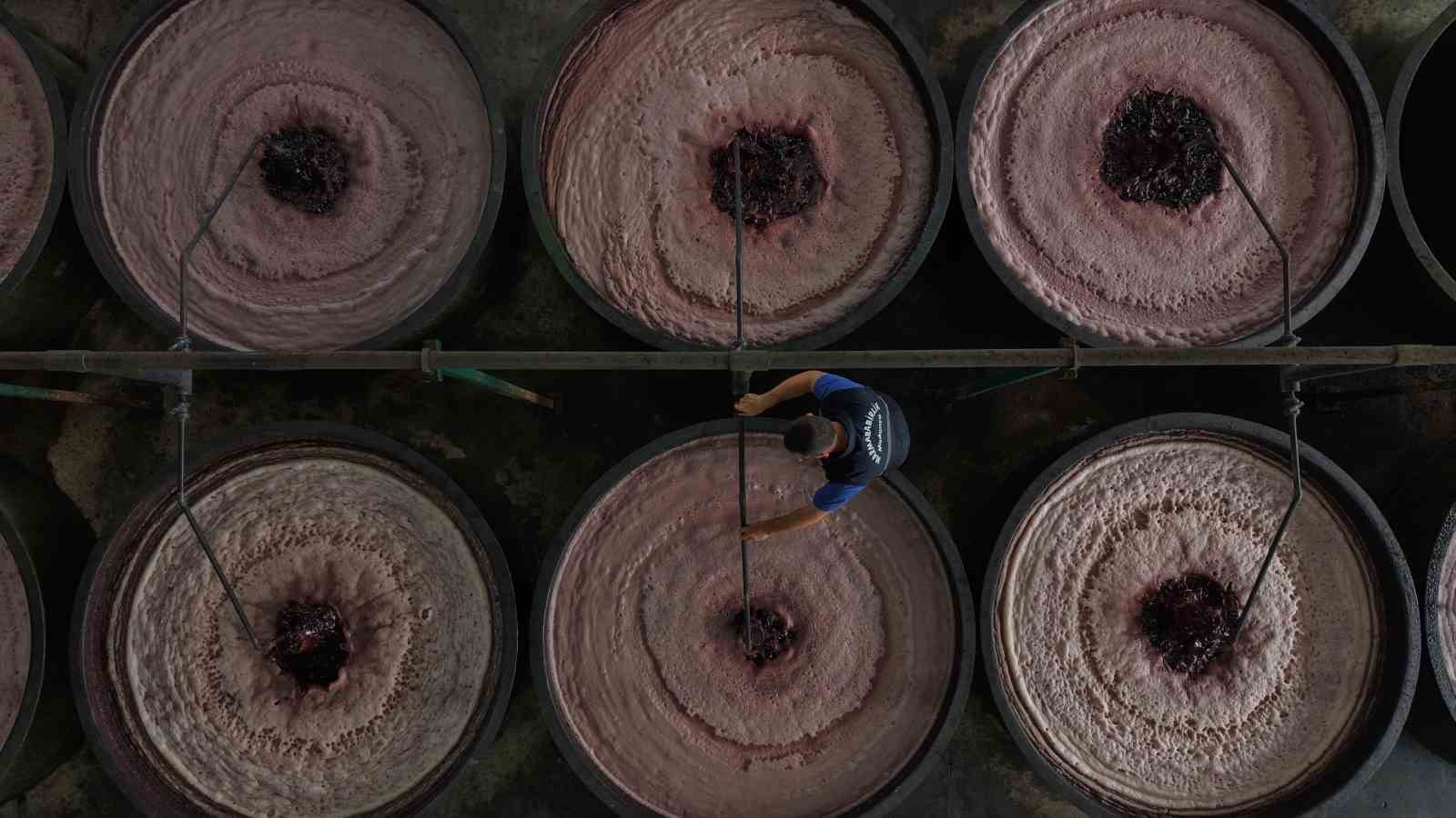 zeytin hasadi basladi marmarabirlikten 70 bin tonluk alim ve 50 milyon dolarlik ihracat hedefi