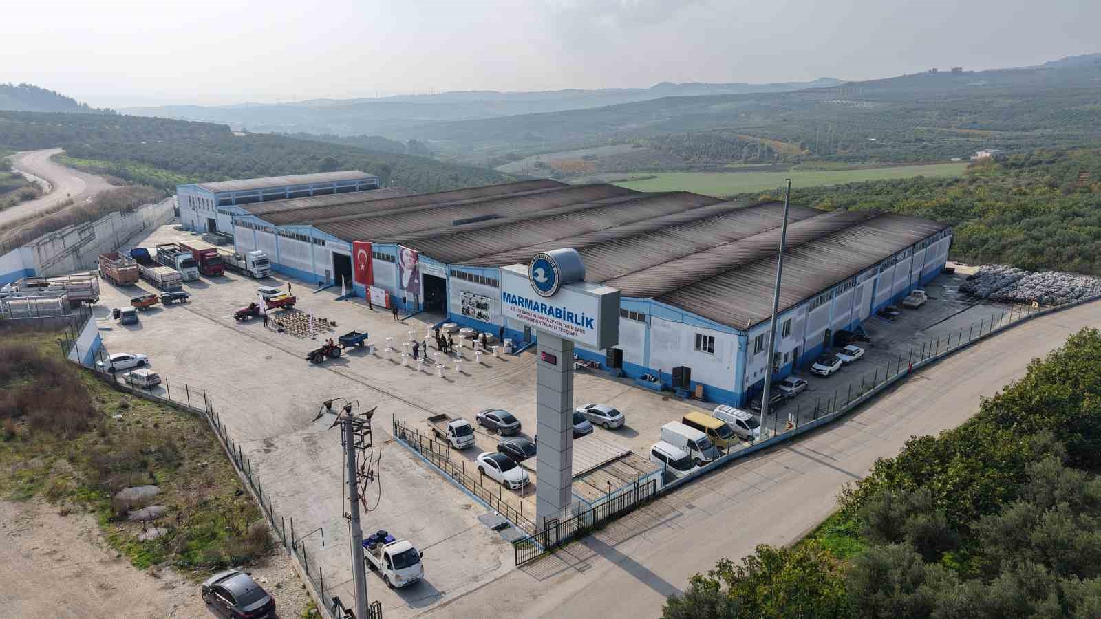 zeytin hasadi basladi marmarabirlikten 70 bin tonluk alim ve 50 milyon dolarlik ihracat hedefi kBhjHVqf