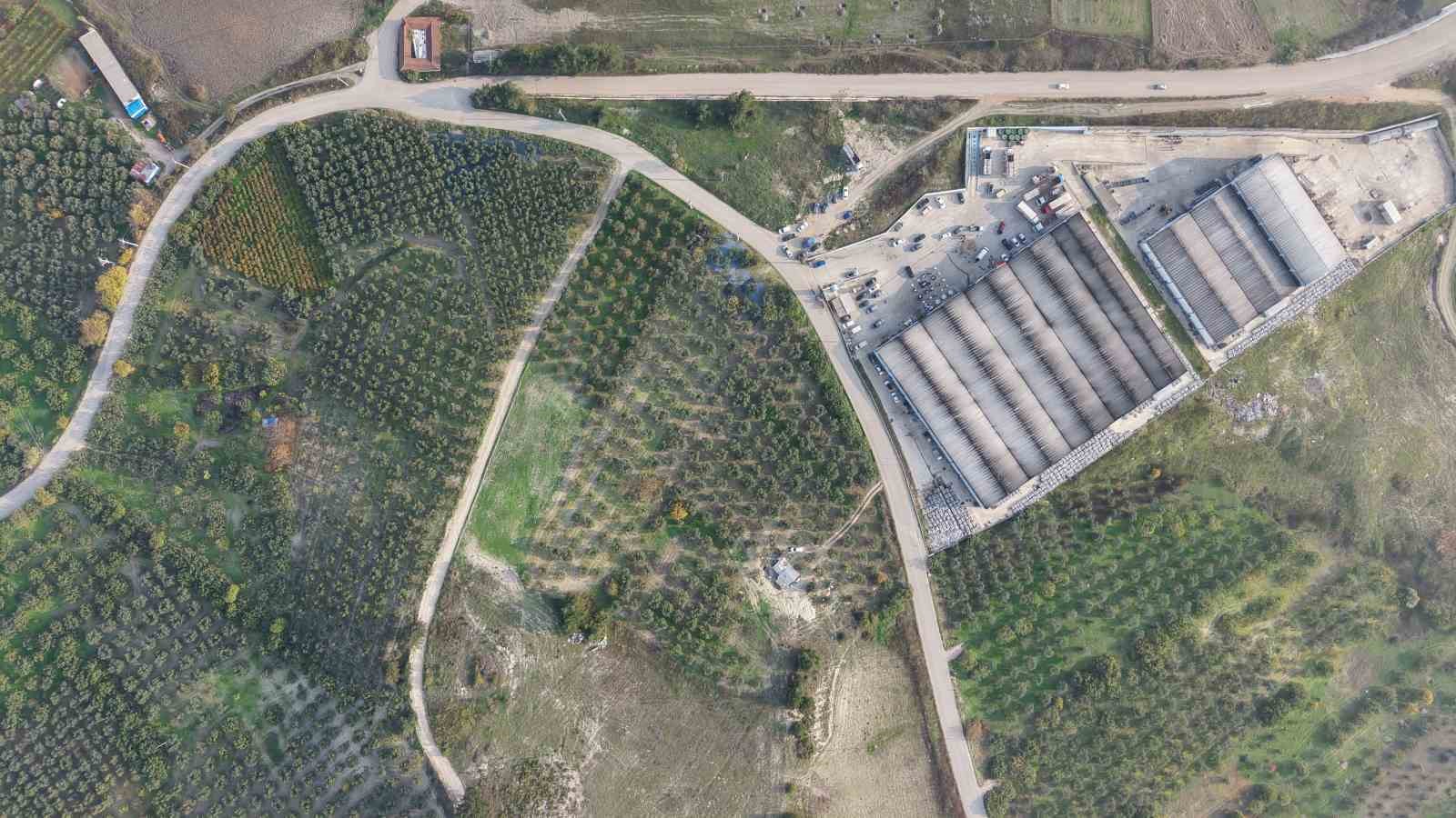 zeytin hasadi basladi marmarabirlikten 70 bin tonluk alim ve 50 milyon dolarlik ihracat hedefi vwevakZm