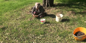zeytinin-en-dogal-hali-karaburun-furma-zeytini-hasadi-basladi-94z8TqNl.jpg