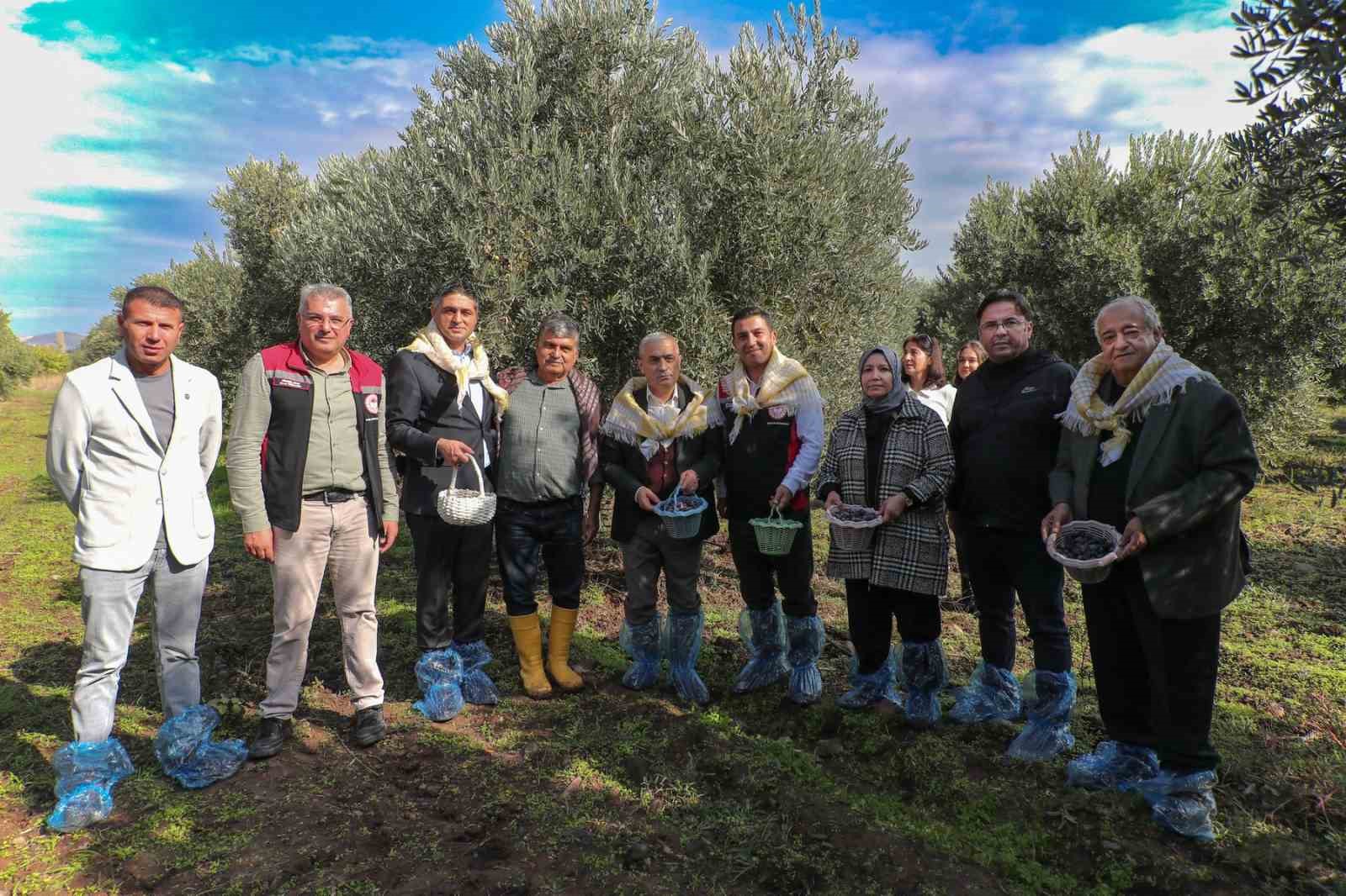 zeytinin yolculugu aliagada senlikle kutlandi 3 APLyceYP