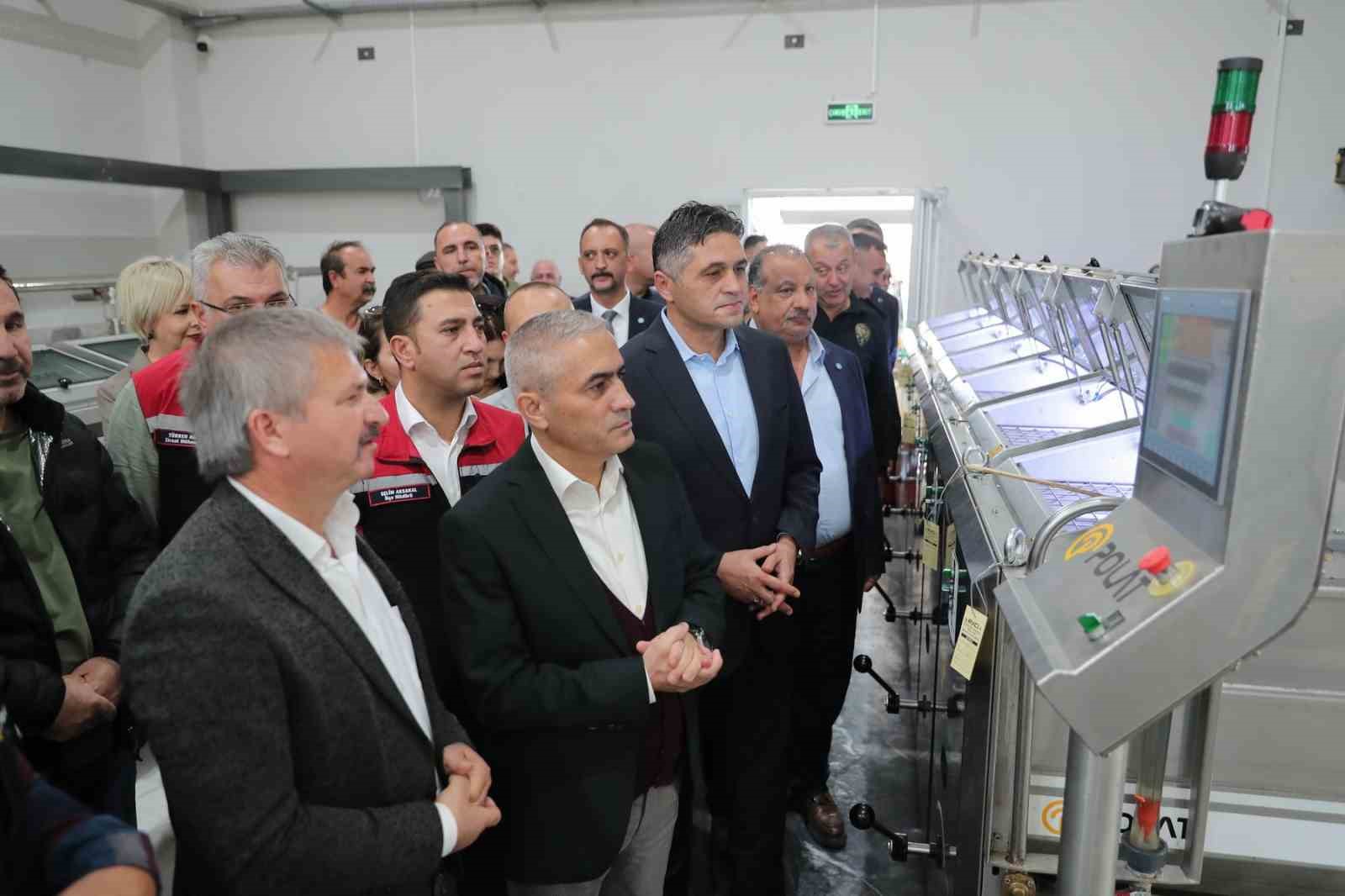 zeytinin yolculugu aliagada senlikle kutlandi 4