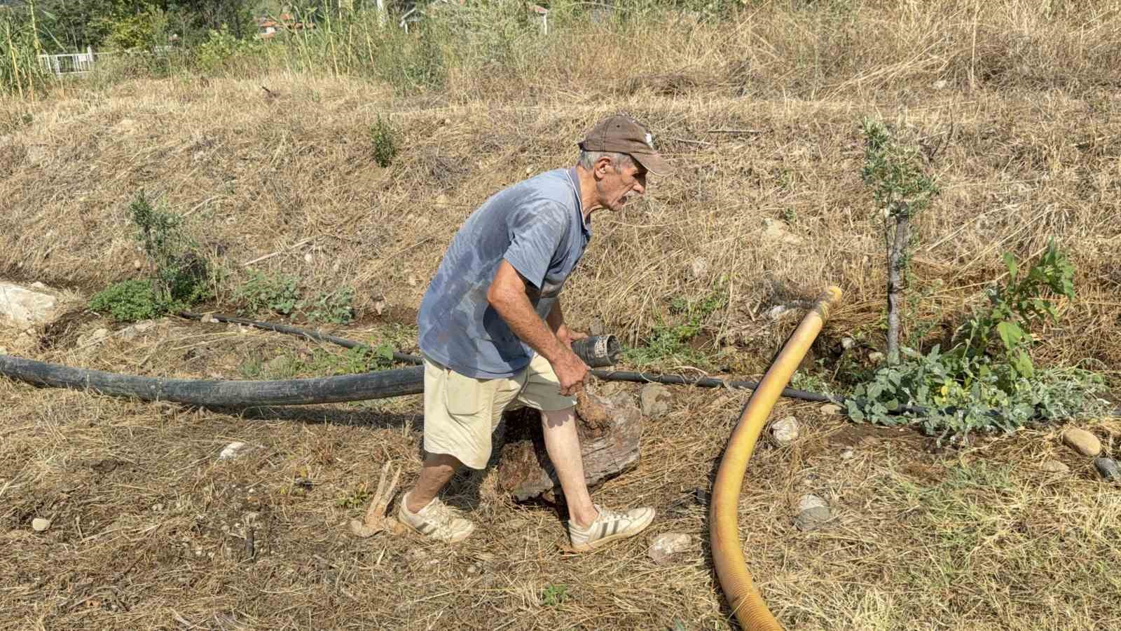 Zeytinlikleri kül oldu, gözyaşını içine akıtıp yangına su taşıdı 8 zeytinlikleri kul oldu gozyasini icine akitip yangina su tasidi 4 FdGcTrMV