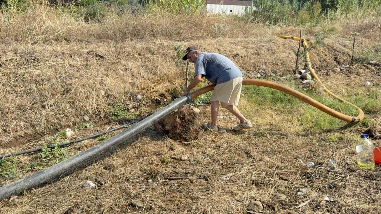 Zeytinlikleri kül oldu, gözyaşını içine akıtıp yangına su taşıdı 9 zeytinlikleri kul oldu gozyasini icine akitip yangina su tasidi 5 kQ6F4wvV