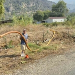 zeytinlikleri-kul-oldu-gozyasini-icine-akitip-yangina-su-tasidi-IGf5HJ5b.jpg