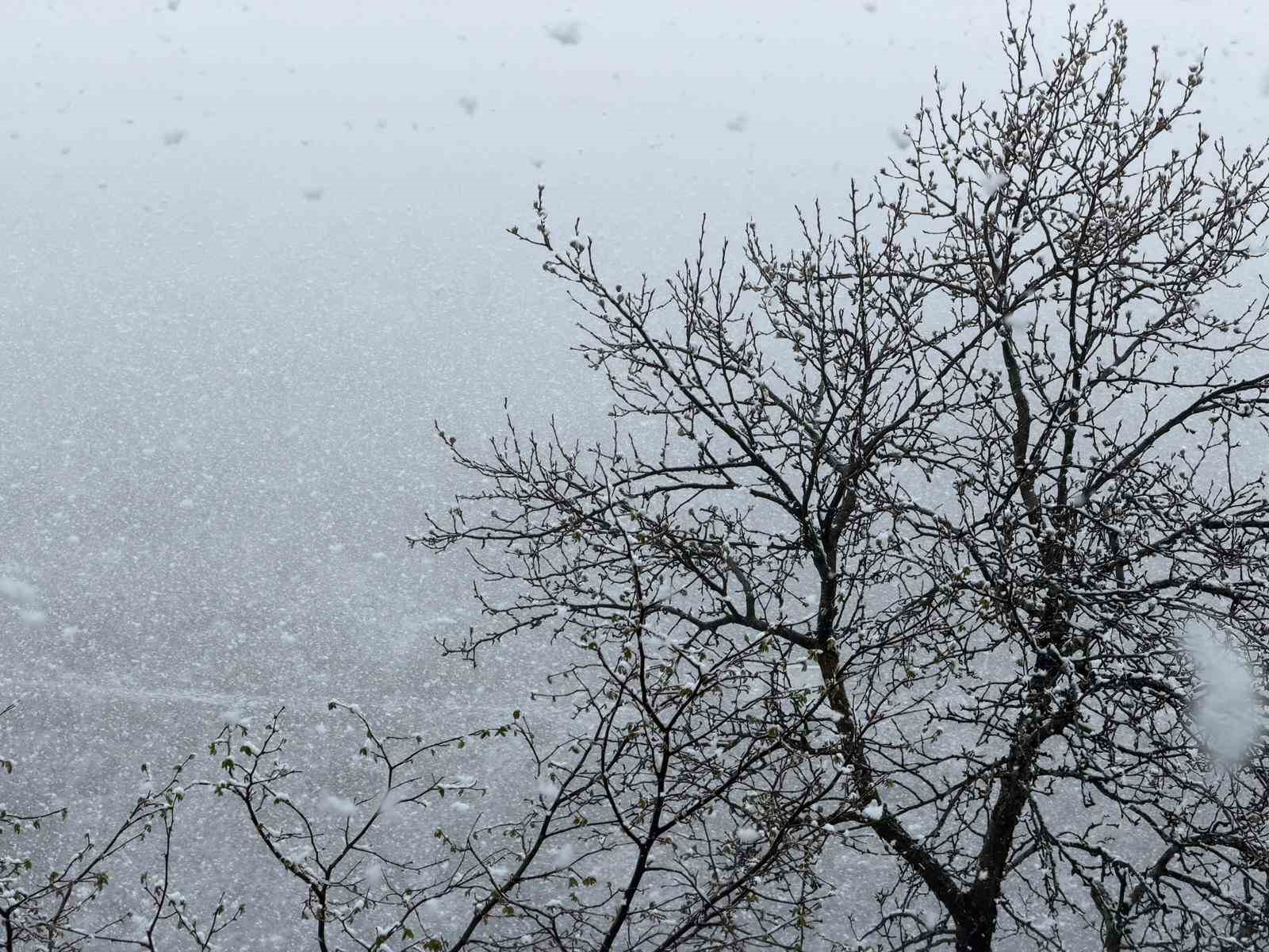 zigana daginin yuksek kesimlerinde nisan ayinin ortasinda lapa lapa kar suprizi 6 tmbqwnm9