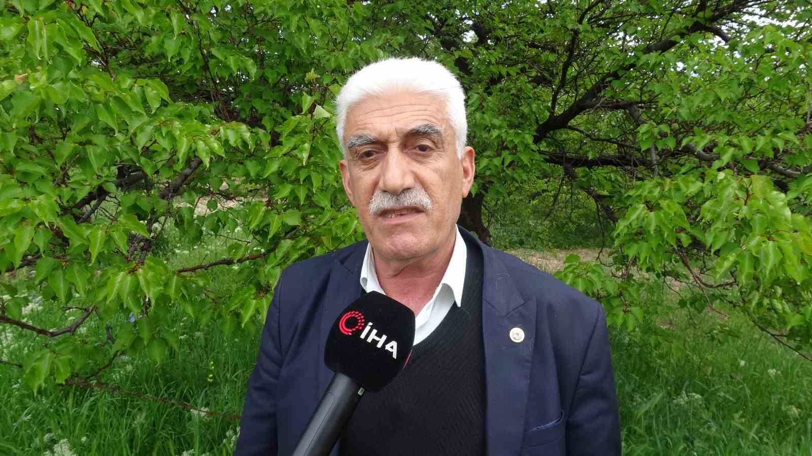 zirai don ve iklim sartlari kayisida verim beklentisini dusurdu 2 W6N4yQea