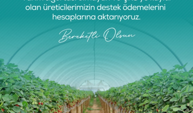 zirai-dondan-etkilenen-ciftcilere-13-milyar-221-milyon-lira-destek-odemesi-yapilacak-zT2SDUu2.jpg