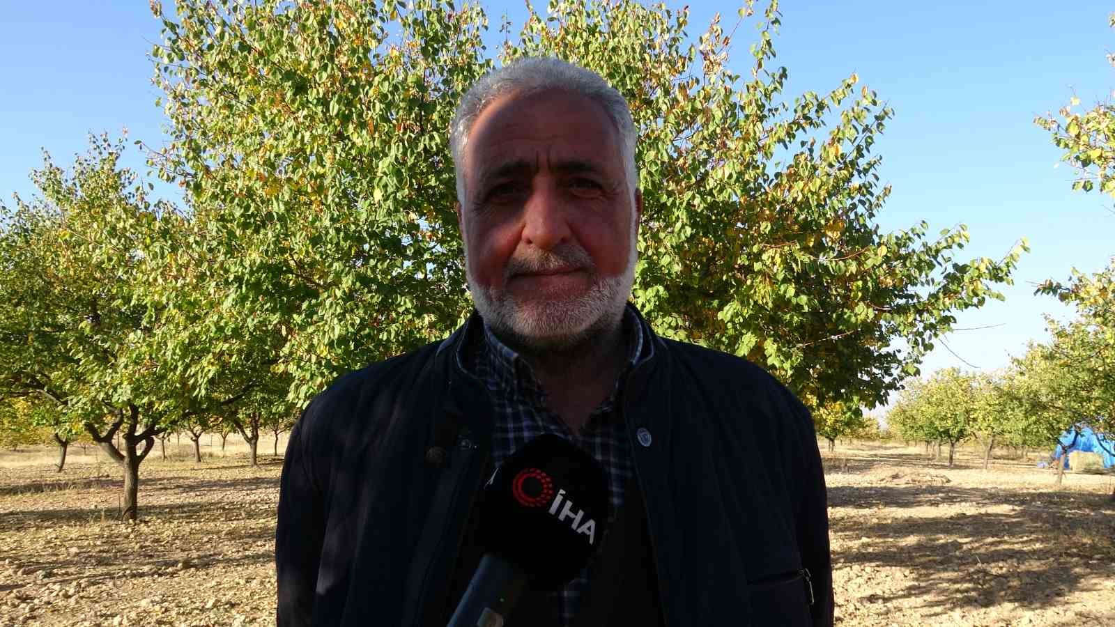 zirai dondan etkilenen kayisi agaclari gelecek yil icin umut veriyor 5 9tu7lOC9