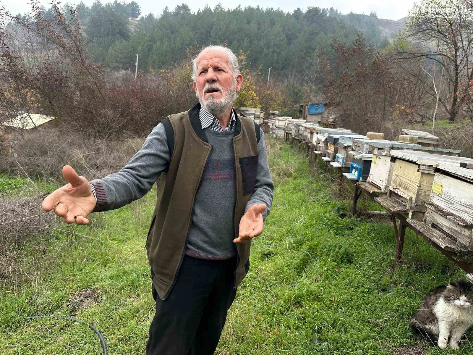 zirai ilac yuzunden milyonlarca arisi kovana donemeden oldu 1 ByI5GpY6