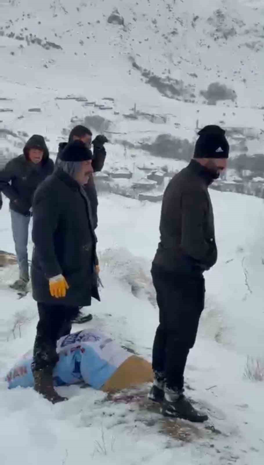zirveye sefkat tirmanisi yuksekovada dag kecileri icin metrelerce kari astilar 15 qTf5srfD