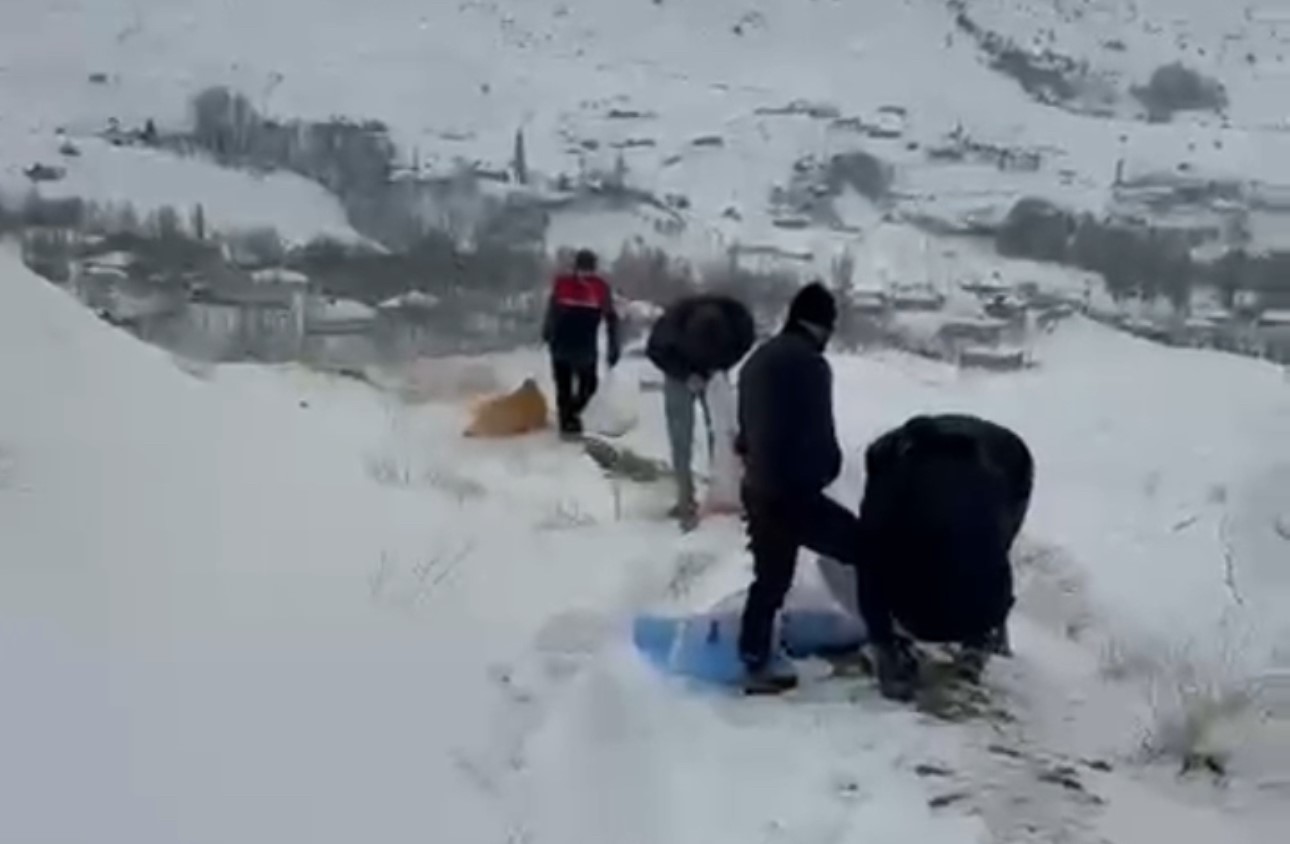 zirveye sefkat tirmanisi yuksekovada dag kecileri icin metrelerce kari astilar 2 9nh1Uujh