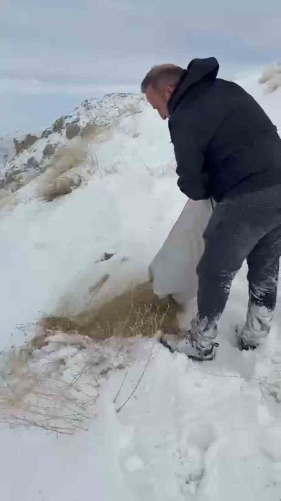 zirveye sefkat tirmanisi yuksekovada dag kecileri icin metrelerce kari astilar 20 eVXqfOMV