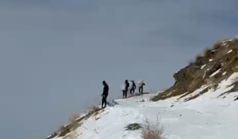 zirveye-sefkat-tirmanisi-yuksekovada-dag-kecileri-icin-metrelerce-kari-astilar-hbaq9l3M.jpg