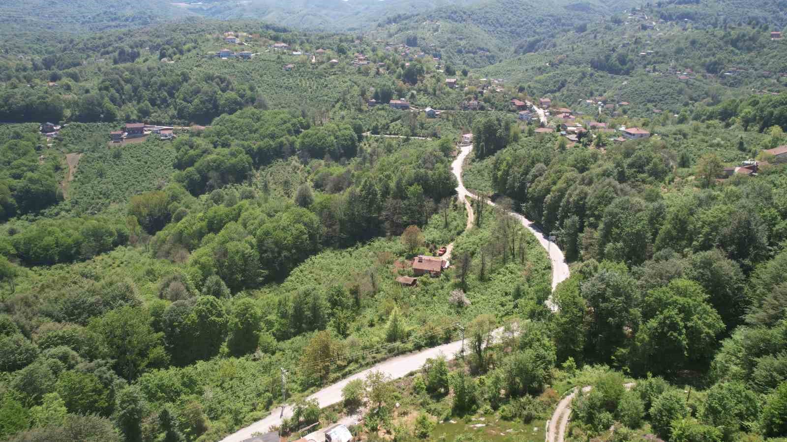 zonguldak ormanlari baharin gelisiyle dronla goruntulendi 0 lqYiSvIs