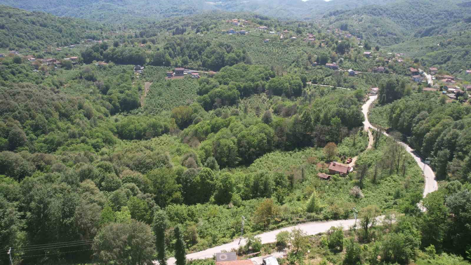 zonguldak ormanlari baharin gelisiyle dronla goruntulendi 1 lu9gAbEC