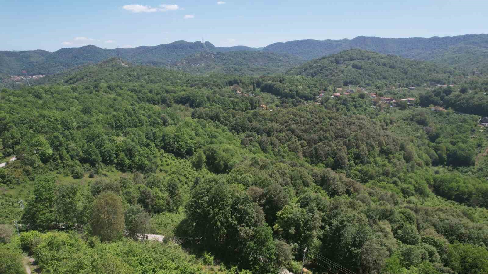 zonguldak ormanlari baharin gelisiyle dronla goruntulendi 3 7RujcJ14