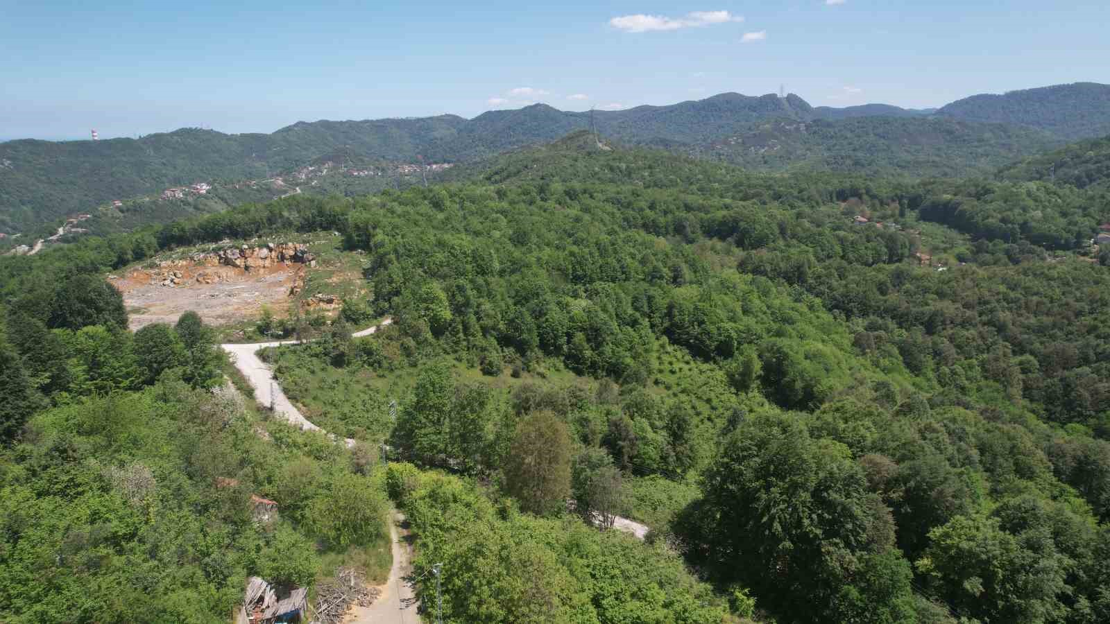 zonguldak ormanlari baharin gelisiyle dronla goruntulendi 4