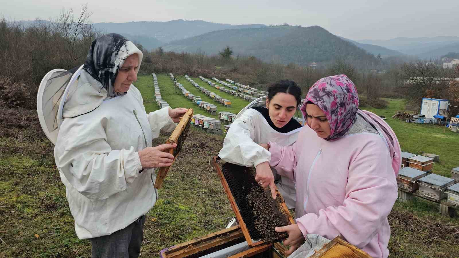 zonguldakta anne ve kizlari aricilik meslegiyle kestane bali uretiyor 1 pNIyKs1u