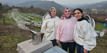 zonguldakta-anne-ve-kizlari-aricilik-meslegiyle-kestane-bali-uretiyor-FisyQmBa.jpg