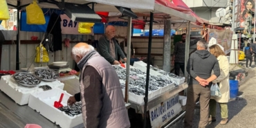zonguldakta-hamsi-azaldi-fiyatlar-yeniden-yukseliste-IX9EW3fg.jpg